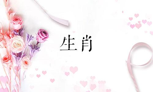 属马的出生在哪个月最好命运