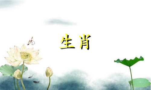 属猪人一生最克3个人的属相
