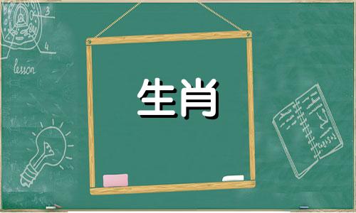 属马的遇到蛇年好不好呢 1978年马2025年运势完整版