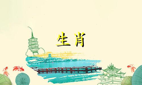 2025年属兔人的全年运势每月运势