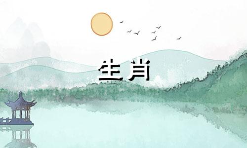 2025年属兔人的全年运势详解