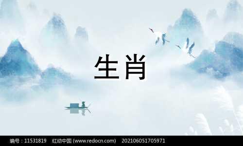 属兔人的身体健康怎么样 属兔人的致命缺点