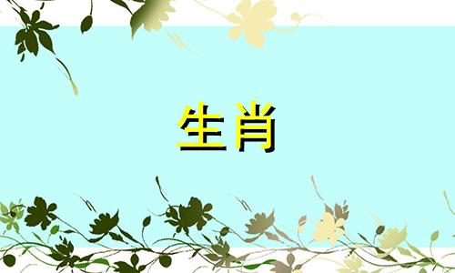千万别嫁属兔男什么意思 属兔男找属啥对象好