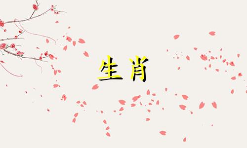 鼠年生人,结婚在哪个月最好呢
