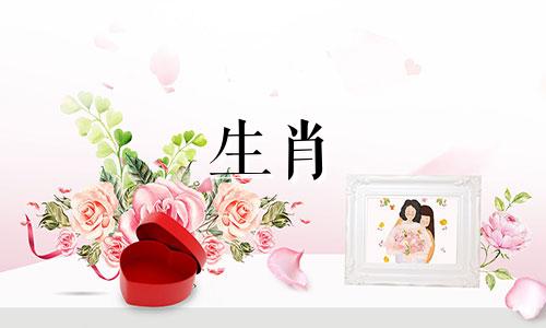 属龙一辈子躲不开的情劫是什么