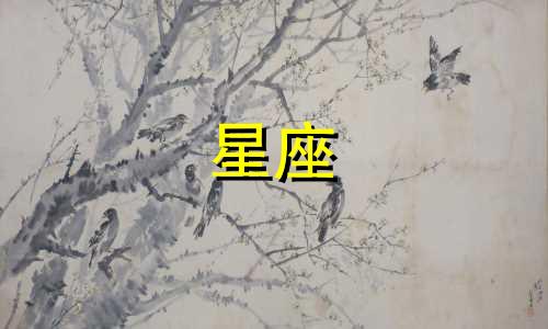高人预言天秤座2025,天秤座今年运势好不好呢