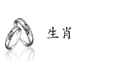 1988年属龙女一生有几次婚姻和幸福