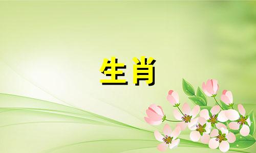 属鼠女和属羊男的适合做夫妻吗好不好
