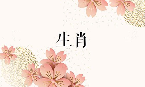 情商高会做人的生肖女 办事最有主见的生肖女