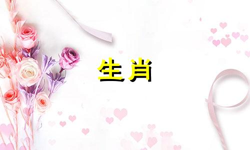 十二生肖中越老越有味儿的生肖男