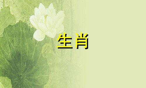 1977年属蛇的戴玉好还是金