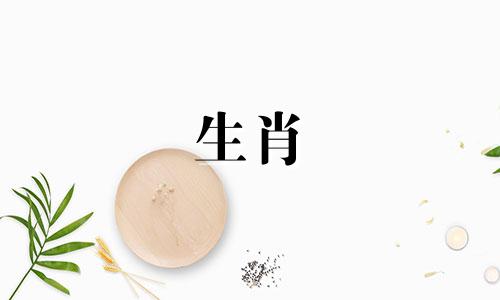 属虎女属蛇男适合做夫妻吗好吗