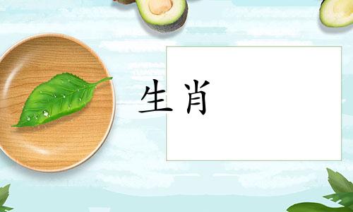 千万别嫁属鼠男什么意思 为什么说不能嫁属鼠男