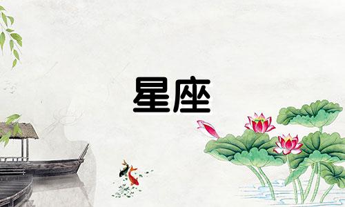 水瓶座里哪个属相最厉害 水瓶座最好吗