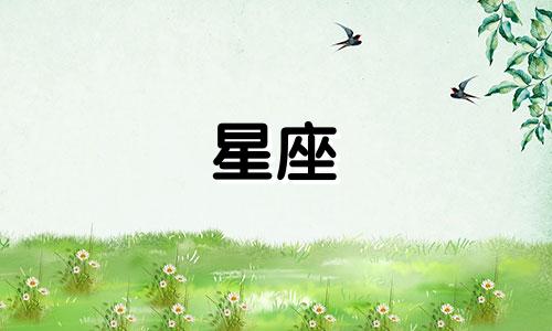 天蝎座2025年天蝎座运势详解