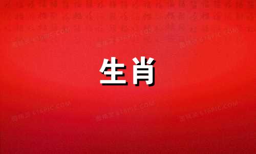 2007年属猪2025年运势及运程