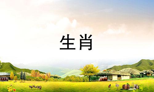 82年狗男2025年运势完整版