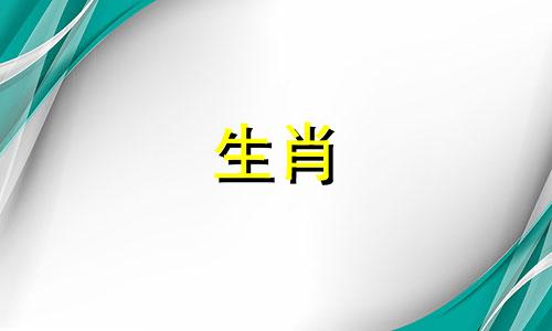 2025年属狗的能过生日吗,狗过生日注意事项是什么