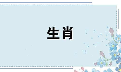属猪2025家里变故,猪今年会遇到祸事吗