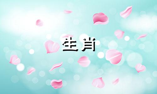 1987年属兔女2025年运势完整版