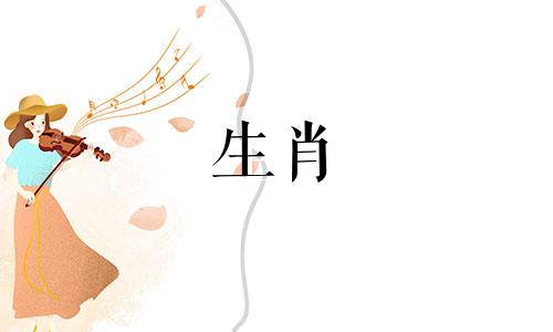 属马的合伙人最佳属相是什么