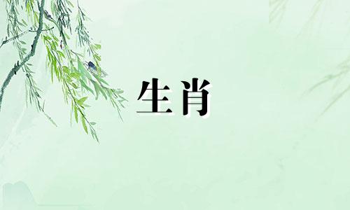 2025属鼠人一鸣惊人运势 属鼠2025年
