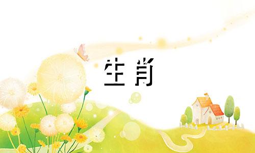 属鼠最忌的三个数字是什么?