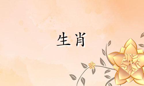 2025年属虎的能过生日吗,虎过生日注意事项是什么
