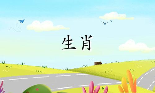 属龙十一月十六出生是什么命男孩