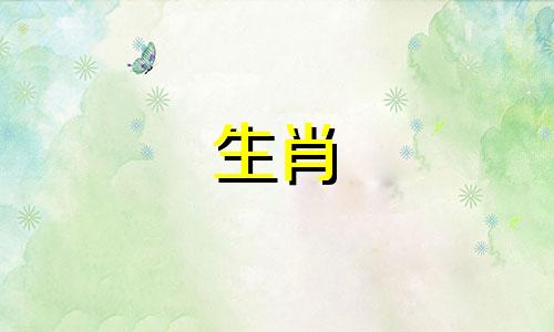 2025年是九紫离火年吗为什么