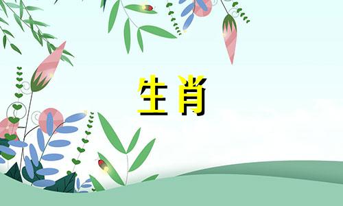 属马不能戴三样东西,属马人的佩戴禁忌是什么
