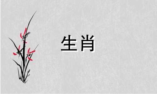 属鼠和属羊真的不能在一起吗