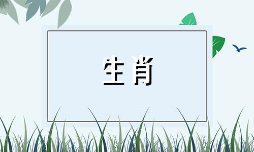 2025属龙人一鸣惊人的生肖