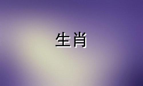 属鼠的合伙人最佳属相是什么