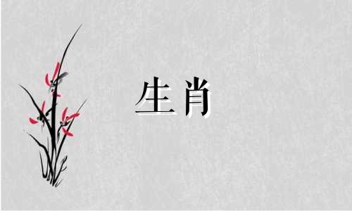 79年羊2025年运势完整版 羊2025年运势详解全年运程完整版