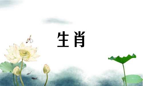属鸡的合伙人最佳属相是什么