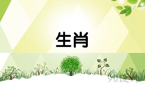 2025属鸡人一鸣惊人运势 2025年属鸡的是什么命