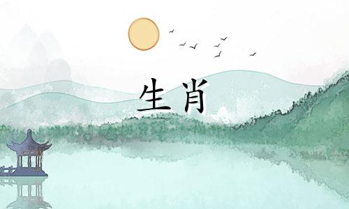 属猪不能戴三样东西,属猪人的佩戴禁忌是什么