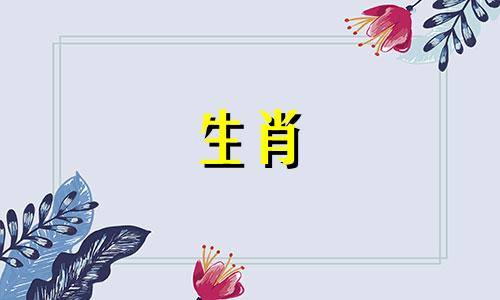属龙的晚上出生好还是白天好呢