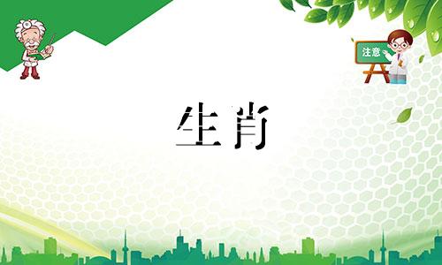2022年属猪犯太岁佩戴什么