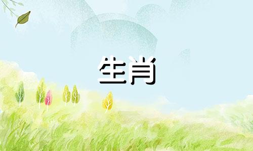 属兔的合伙人最佳属相是什么