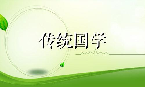 松柏木哪个时辰出生好老树藤是什么意思
