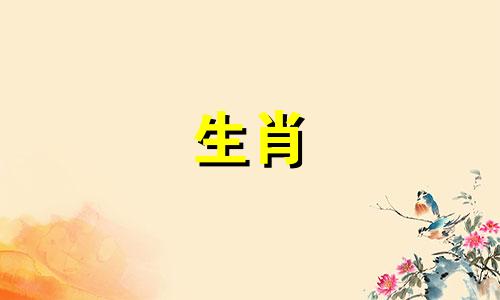 属马带什么招财转运最好呢