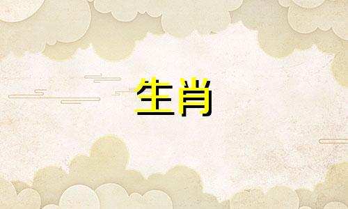 怎么和属猪的人相处好 如何和属猪的人谈恋爱