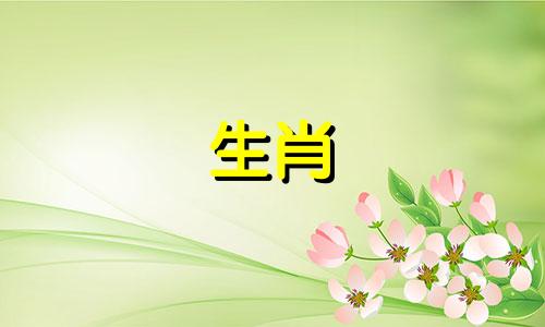 2025属猪最忌三件事,猪今年不能做什么生意