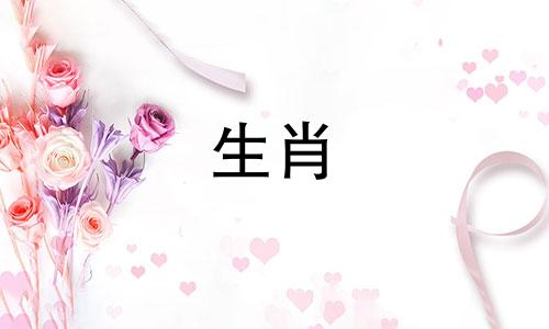 91年属羊人在2025后近五年运势分析如何