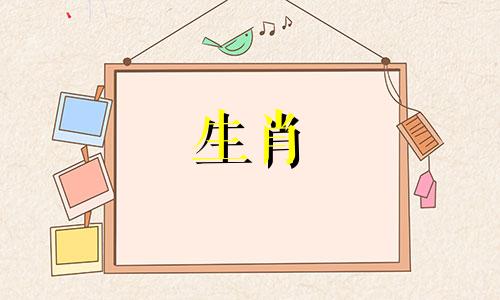 65年的男蛇和70年的女狗婚配吗好吗