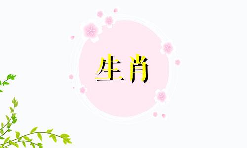 属狗2025真爱出现,属狗人2025年爱情运势怎么样