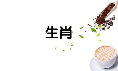 1987兔最佳发财年龄是多少