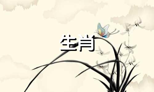 2025属龙最忌三件事,龙今年不能做什么生意